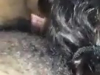Sex Animal Tamil Videos - Tamil - High Score Porn